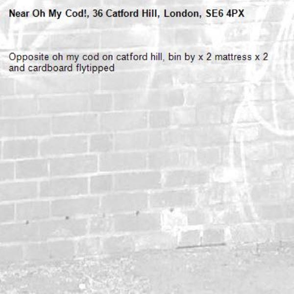 Opposite oh my cod on catford hill, bin by x 2 mattress x 2 and cardboard flytipped -Oh My Cod!, 36 Catford Hill, London, SE6 4PX