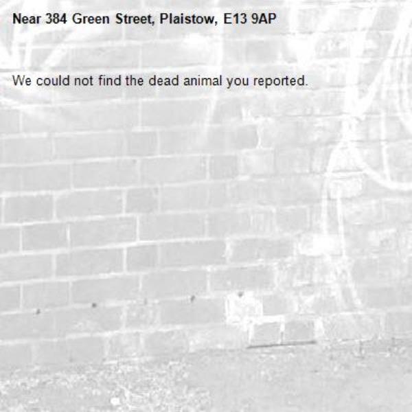 We could not find the dead animal you reported.-384 Green Street, Plaistow, E13 9AP