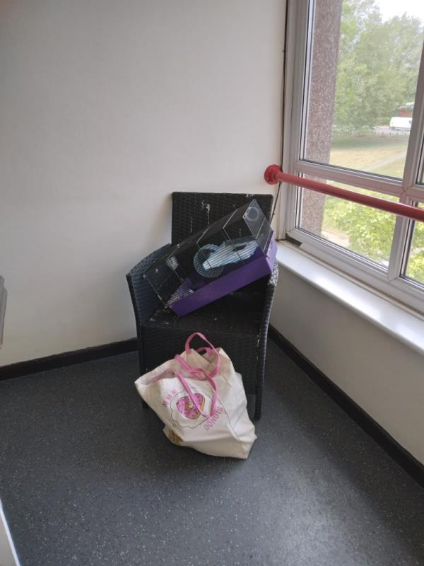 Hamster cage, garden chair and bag if make up boxes, (chair is covered in bird poo)-30 Granville Road, Reading, RG30 3QD