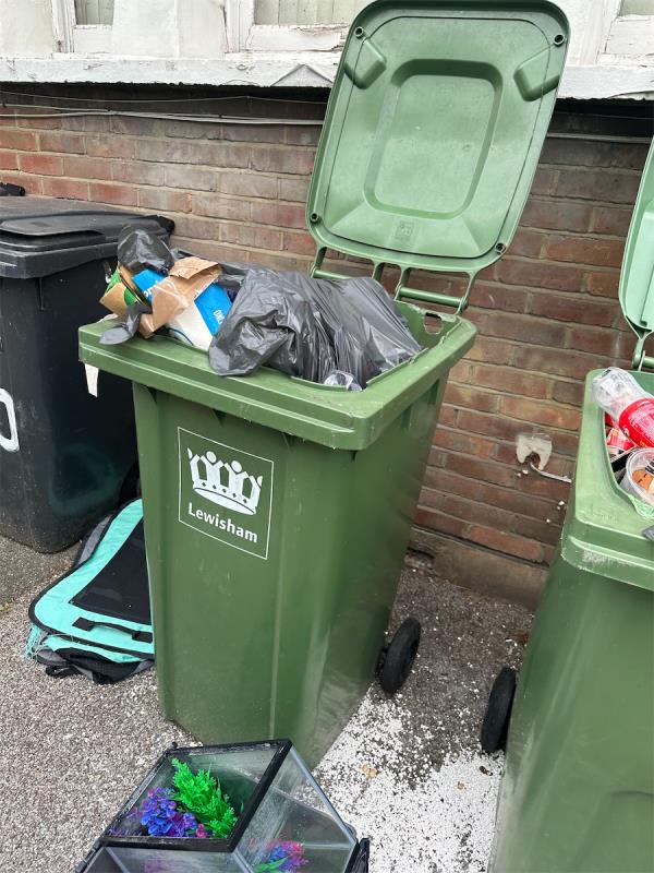 Recycling bins full of non recycling, have been for weeks and owners are clearly too thick to sort it out-Wells Park Road, London
