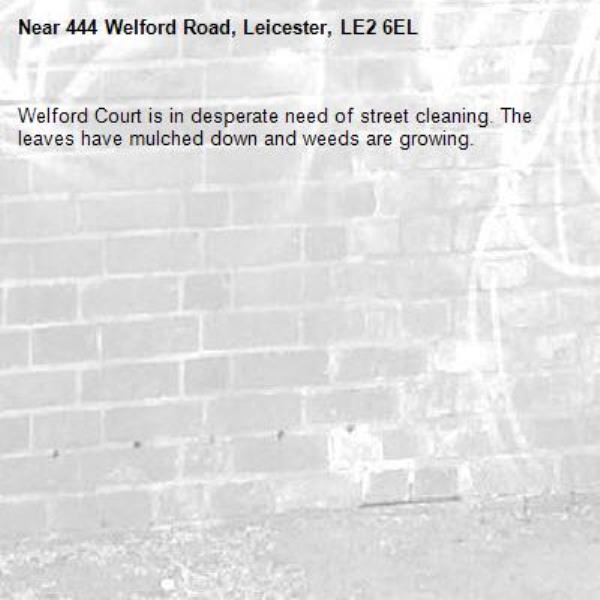 Welford Court is in desperate need of street cleaning. The leaves have mulched down and weeds are growing.-444 Welford Road, Leicester, LE2 6EL