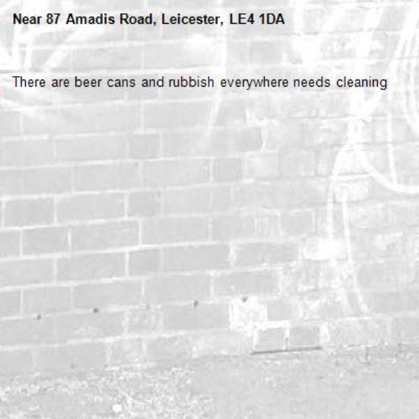 There are beer cans and rubbish everywhere needs cleaning -87 Amadis Road, Leicester, LE4 1DA