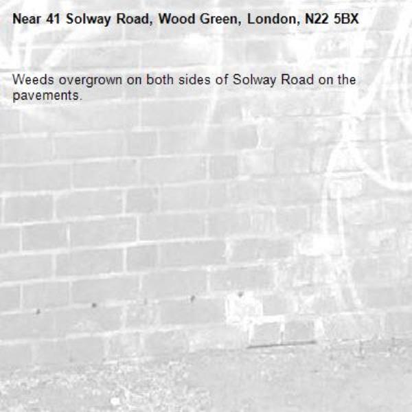 Weeds overgrown on both sides of Solway Road on the pavements. -41 Solway Road, Wood Green, London, N22 5BX