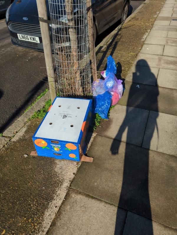Cardboard box and litter by tree-78 Humberstone Road, Plaistow, London, E13 9NJ