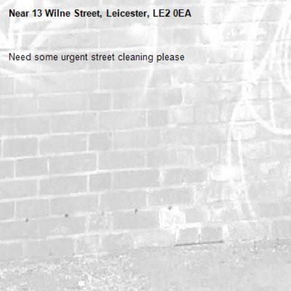 Need some urgent street cleaning please-13 Wilne Street, Leicester, LE2 0EA