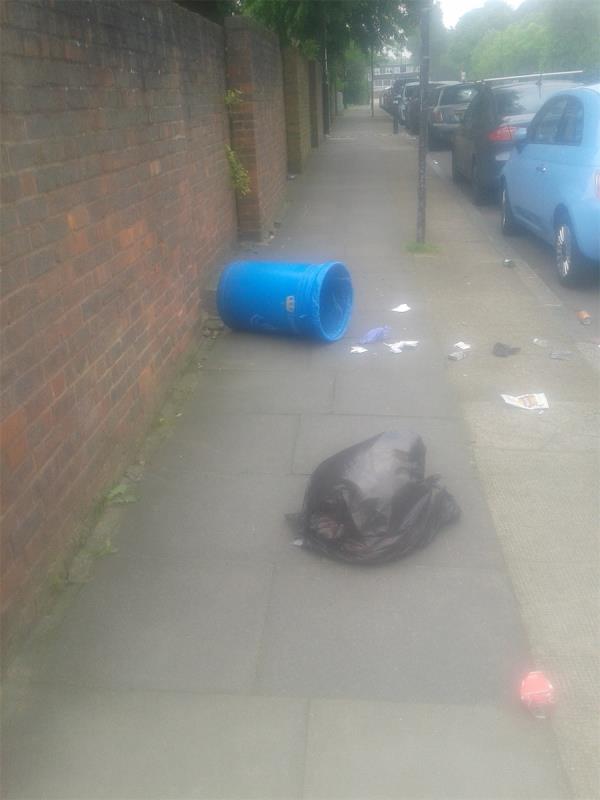 Litter bin has been knocked over -52 Lee Terrace, London, SE3 9TA