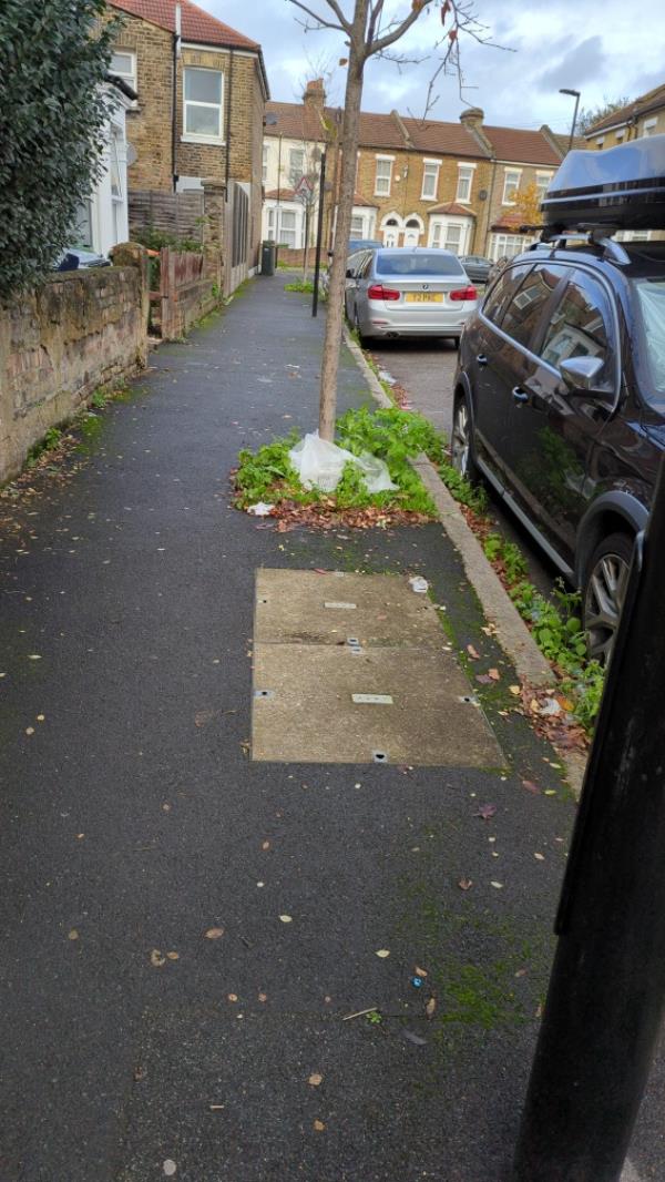 Road needs to be swept -10 Stork Road, Forest Gate North, E7 9HR, England, United Kingdom
