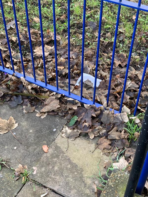 Too much litter with rotten leaves outside block 1-15 Daines Close. Needs urgent cleaning massively health and safety issue at the moment -5 Daines Close, Little Ilford, E12 5LQ, England, United Kingdom