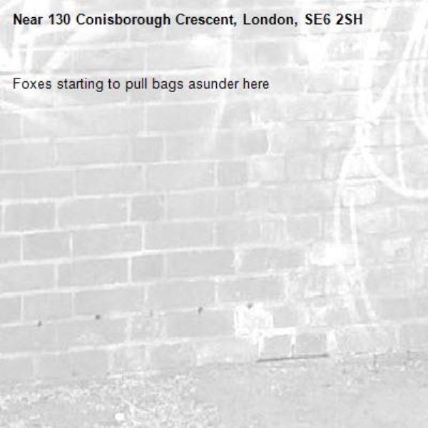 Foxes starting to pull bags asunder here-130 Conisborough Crescent, London, SE6 2SH
