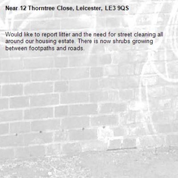 Would like to report litter and the need for street cleaning all around our housing estate. There is now shrubs growing between footpaths and roads. -12 Thorntree Close, Leicester, LE3 9QS