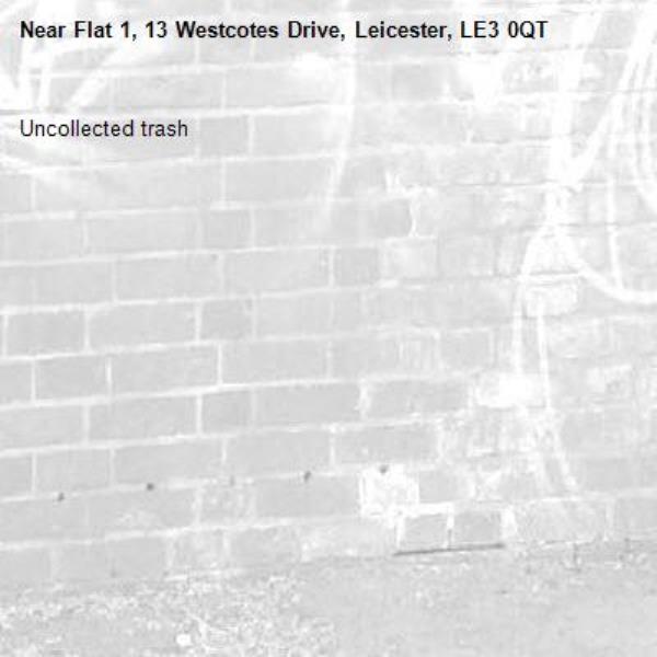 Uncollected trash-Flat 1, 13 Westcotes Drive, Leicester, LE3 0QT
