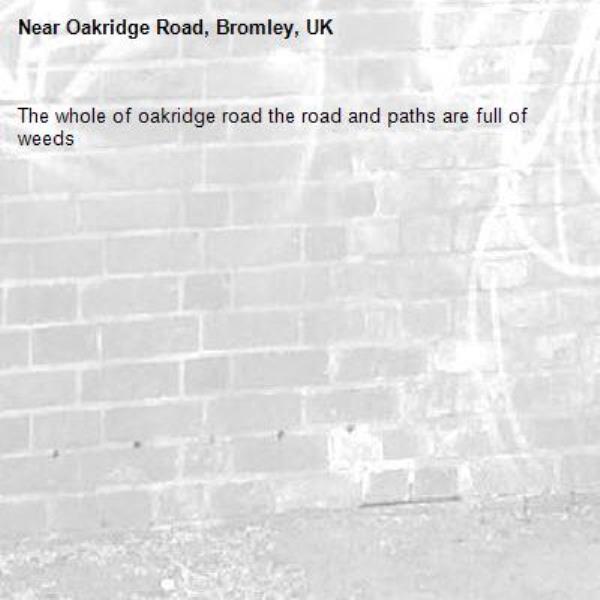 The whole of oakridge road the road and paths are full of weeds -Oakridge Road, Bromley, UK