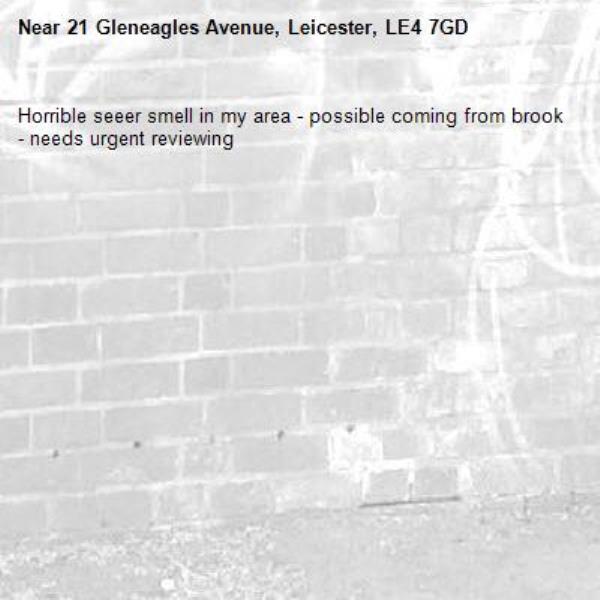 Horrible seeer smell in my area - possible coming from brook - needs urgent reviewing -21 Gleneagles Avenue, Leicester, LE4 7GD