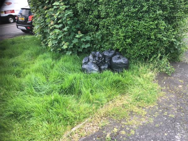 Please clear black bags from grass area-105 Mayeswood Road, Grove Park, London, SE12 9SA