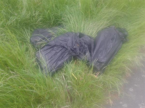 Pleas clear black bags from footpath across gras area-39 Woodbank Road, Bromley, BR1 5HA