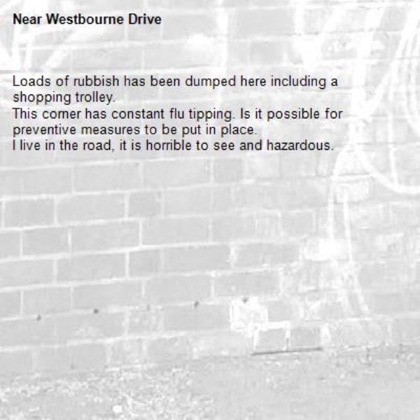 Loads of rubbish has been dumped here including a shopping trolley.
This corner has constant flu tipping. Is it possible for preventive measures to be put in place.
I live in the road, it is horrible to see and hazardous. -Westbourne Drive 