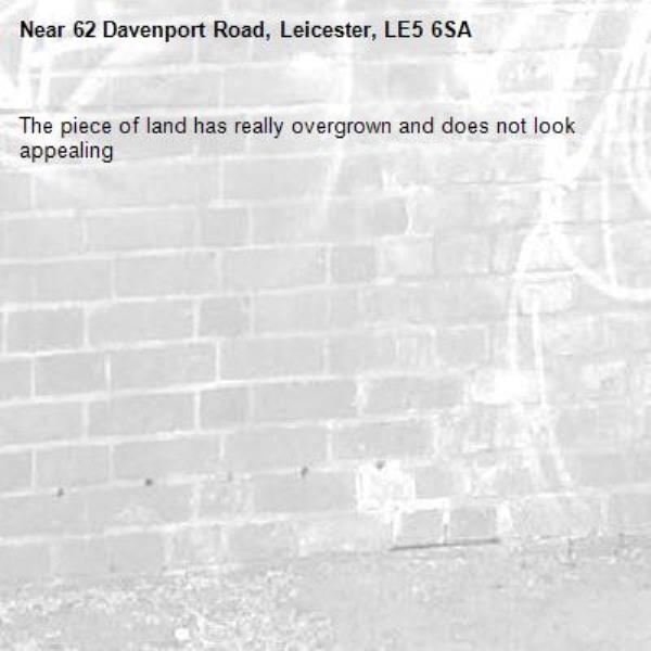 The piece of land has really overgrown and does not look appealing -62 Davenport Road, Leicester, LE5 6SA