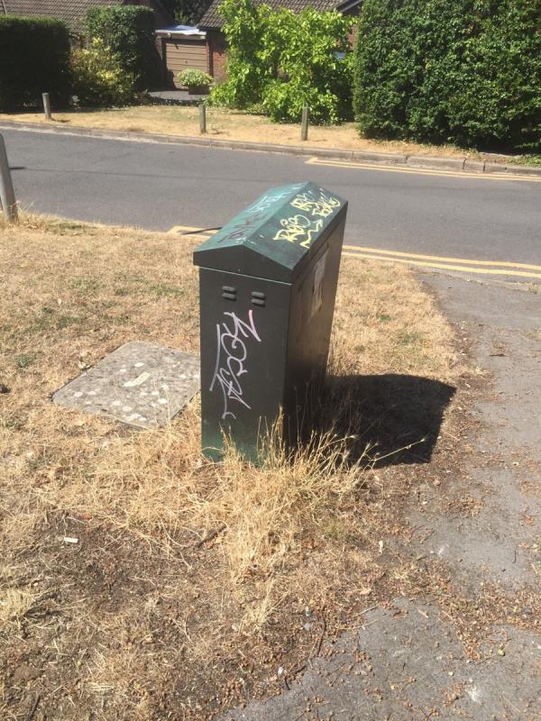 Graffiti on the utility box on the corner of Fern Glen and Pierce’s Hill-48 Pierce's Hill, Reading, RG31 6RB