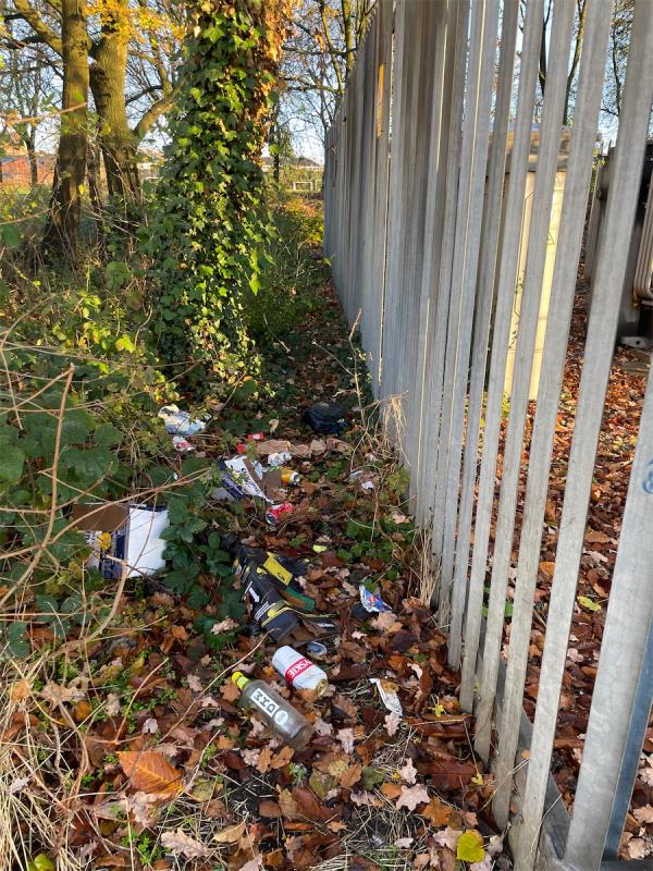 Litter thrown into bushes along Harrington street side of the green space.   Accumulated at the side of the substation.  Genral rubbish and household rubbish left on the green space. 
Broken bottles on footpath -125 Harrington Street, Leicester, LE4 6ET