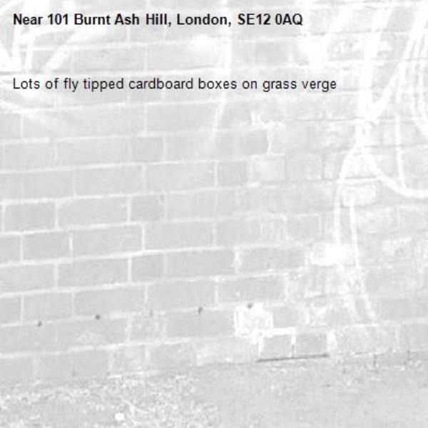 Lots of fly tipped cardboard boxes on grass verge -101 Burnt Ash Hill, London, SE12 0AQ