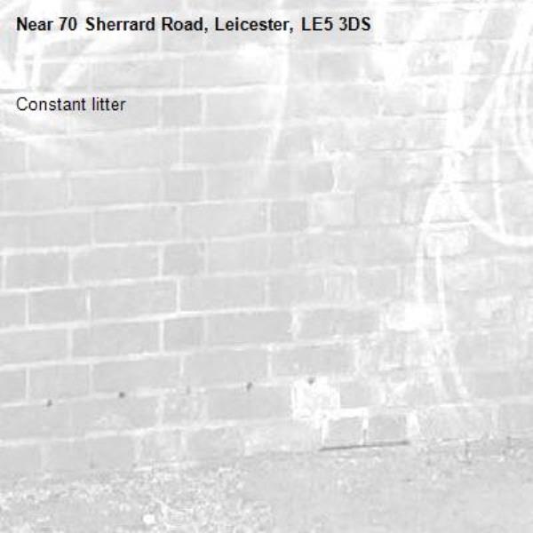 Constant litter -70 Sherrard Road, Leicester, LE5 3DS