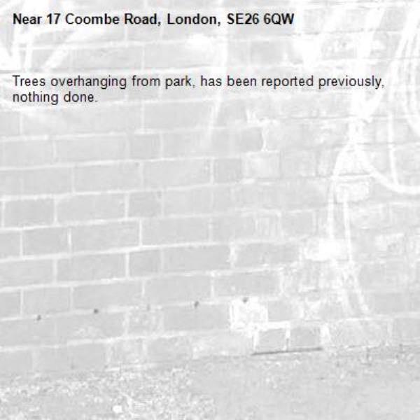 Trees overhanging from park, has been reported previously,  nothing done.-17 Coombe Road, London, SE26 6QW
