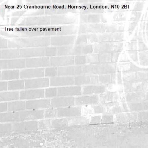 Tree fallen over pavement -25 Cranbourne Road, Hornsey, London, N10 2BT