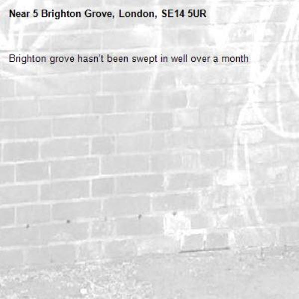Brighton grove hasn’t been swept in well over a month -5 Brighton Grove, London, SE14 5UR