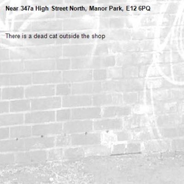There is a dead cat outside the shop-347a High Street North, Manor Park, E12 6PQ