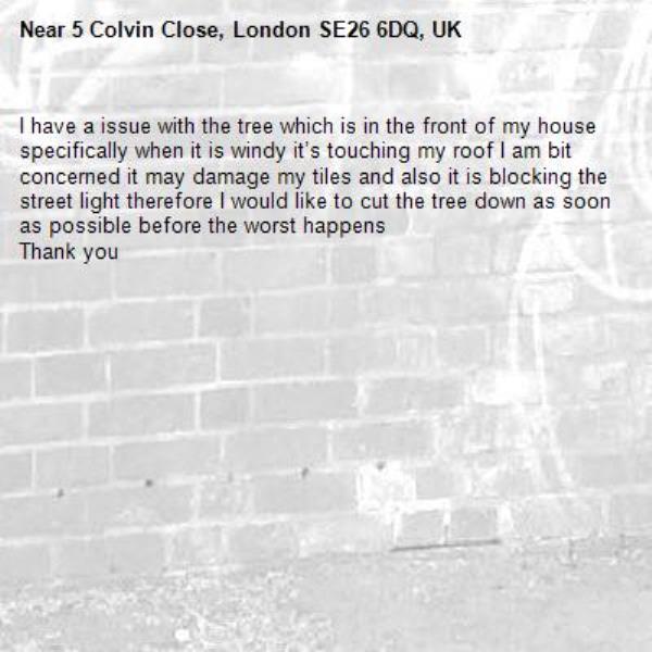 I have a issue with the tree which is in the front of my house specifically when it is windy it’s touching my roof I am bit concerned it may damage my tiles and also it is blocking the street light therefore I would like to cut the tree down as soon as possible before the worst happens 
Thank you -5 Colvin Close, London SE26 6DQ, UK