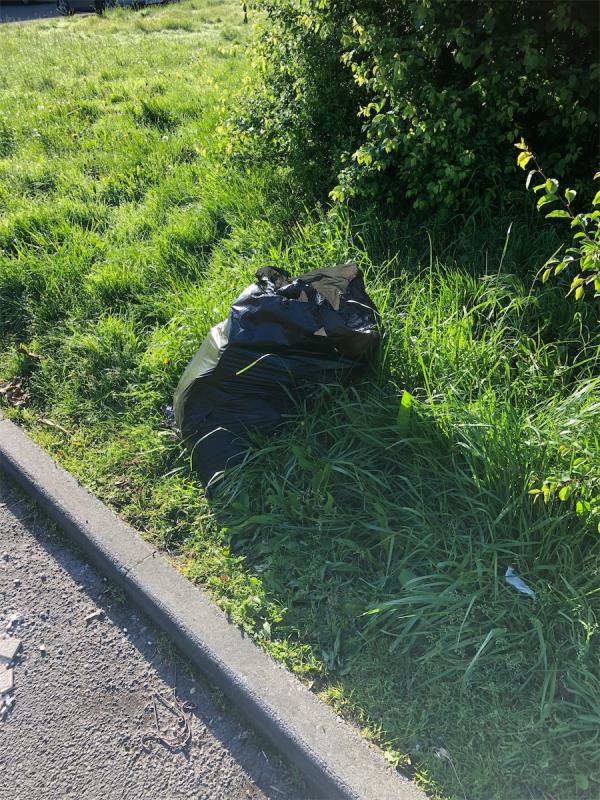 Please clear flytip bags from grass area-297 Brookehowse Road, Bellingham, London, SE6 3TS