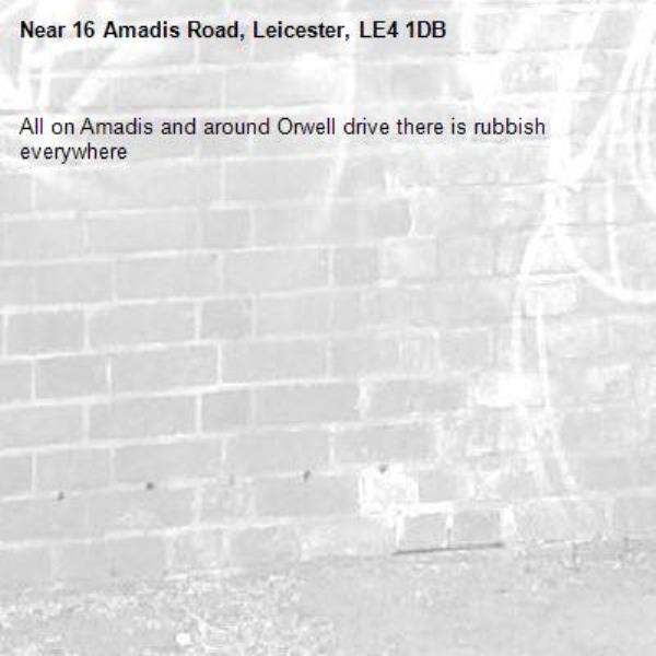 All on Amadis and around Orwell drive there is rubbish everywhere -16 Amadis Road, Leicester, LE4 1DB