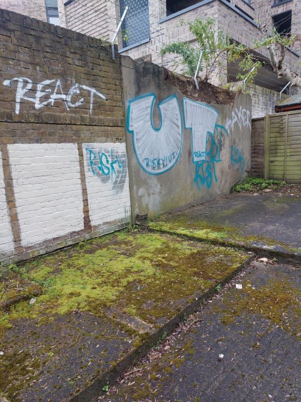 Remove Graffiti  from Communal Garden Wall
-19 Stanstead Road SE23
