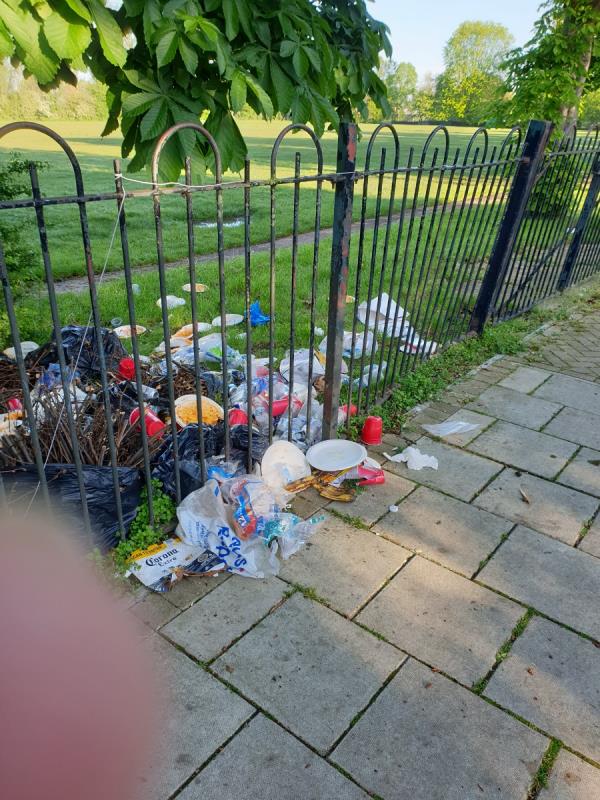 Party waste- huge amounts- left in park Saturday evening -26 Stainton Road, London, SE6 1AD