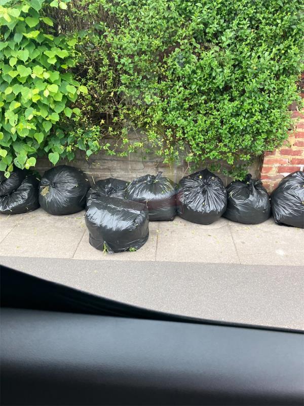Bags of garden waste -61 Torridon Road, London, SE6 1RQ