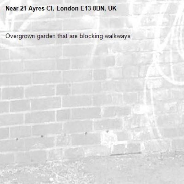 Overgrown garden that are blocking walkways  -21 Ayres Cl, London E13 8BN, UK