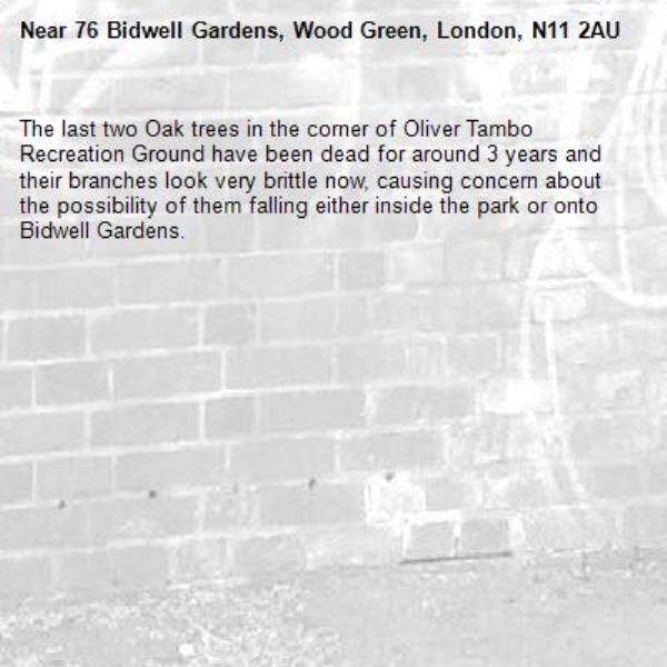 The last two Oak trees in the corner of Oliver Tambo Recreation Ground have been dead for around 3 years and their branches look very brittle now, causing concern about the possibility of them falling either inside the park or onto Bidwell Gardens.-76 Bidwell Gardens, Wood Green, London, N11 2AU