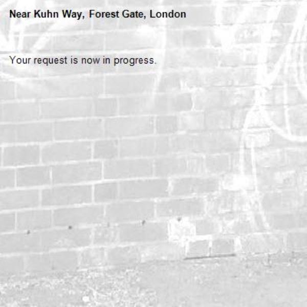 Your request is now in progress.-Kuhn Way, Forest Gate, London