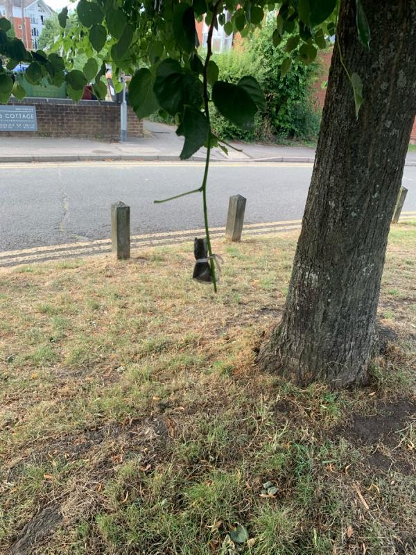 Playground/small park on Canal Way RG1 3H? Have noticed a small bags tied to the lower branches of a tree, contents looks like drug related (marijuana perhaps). It’s the 1st tree on the left of the park, it is reachable hight by children-224 Canal Way, Reading, RG1 3HJ
