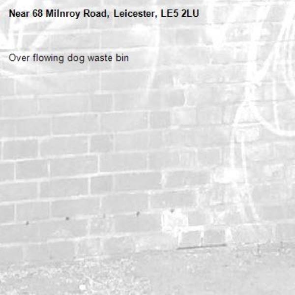 Over flowing dog waste bin-68 Milnroy Road, Leicester, LE5 2LU
