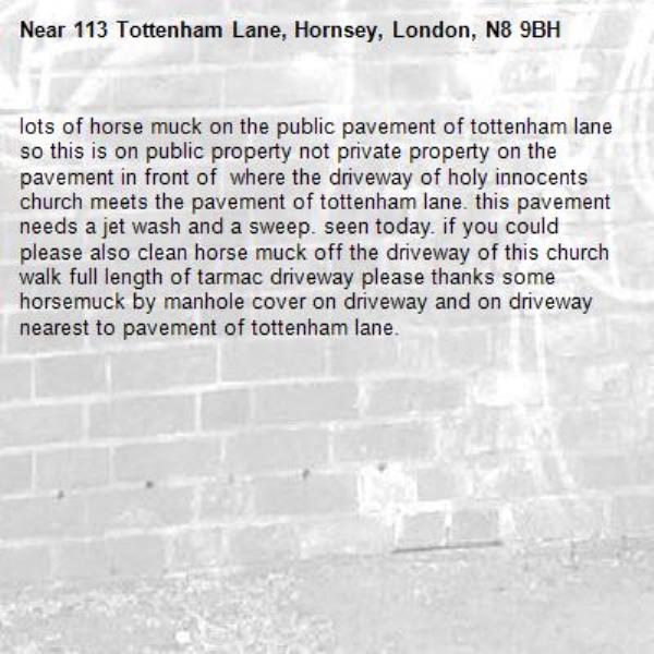 lots of horse muck on the public pavement of tottenham lane so this is on public property not private property on the pavement in front of  where the driveway of holy innocents church meets the pavement of tottenham lane. this pavement needs a jet wash and a sweep. seen today. if you could please also clean horse muck off the driveway of this church walk full length of tarmac driveway please thanks some horsemuck by manhole cover on driveway and on driveway nearest to pavement of tottenham lane.-113 Tottenham Lane, Hornsey, London, N8 9BH