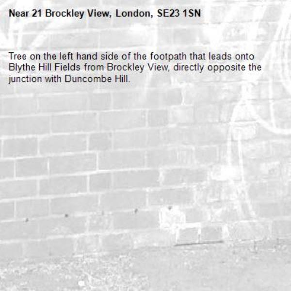 Tree on the left hand side of the footpath that leads onto Blythe Hill Fields from Brockley View, directly opposite the junction with Duncombe Hill.-21 Brockley View, London, SE23 1SN