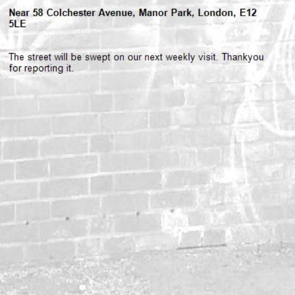 The street will be swept on our next weekly visit. Thankyou for reporting it.-58 Colchester Avenue, Manor Park, London, E12 5LE