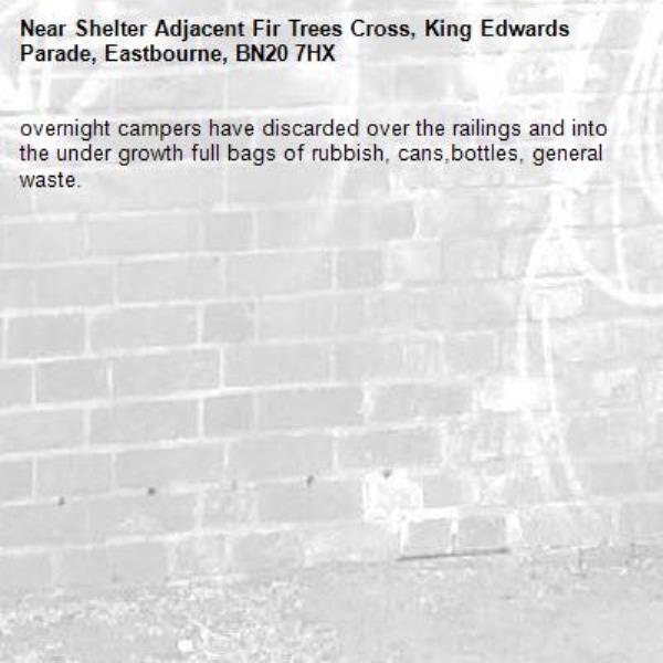 overnight campers have discarded over the railings and into the under growth full bags of rubbish, cans,bottles, general waste.-Shelter Adjacent Fir Trees Cross, King Edwards Parade, Eastbourne, BN20 7HX