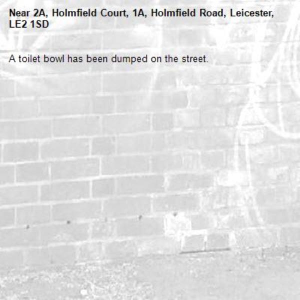 A toilet bowl has been dumped on the street.-2A, Holmfield Court, 1A, Holmfield Road, Leicester, LE2 1SD