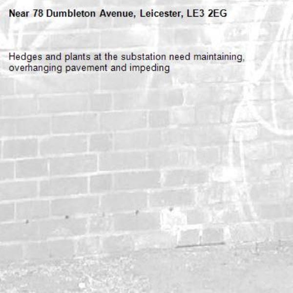 Hedges and plants at the substation need maintaining, overhanging pavement and impeding-78 Dumbleton Avenue, Leicester, LE3 2EG