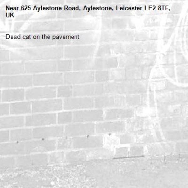 Dead cat on the pavement-625 Aylestone Road, Aylestone, Leicester LE2 8TF, UK
