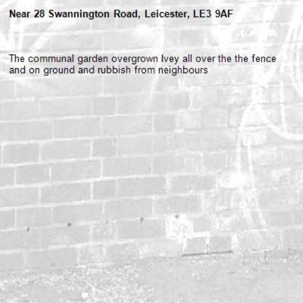 The communal garden overgrown Ivey all over the the fence and on ground and rubbish from neighbours -28 Swannington Road, Leicester, LE3 9AF