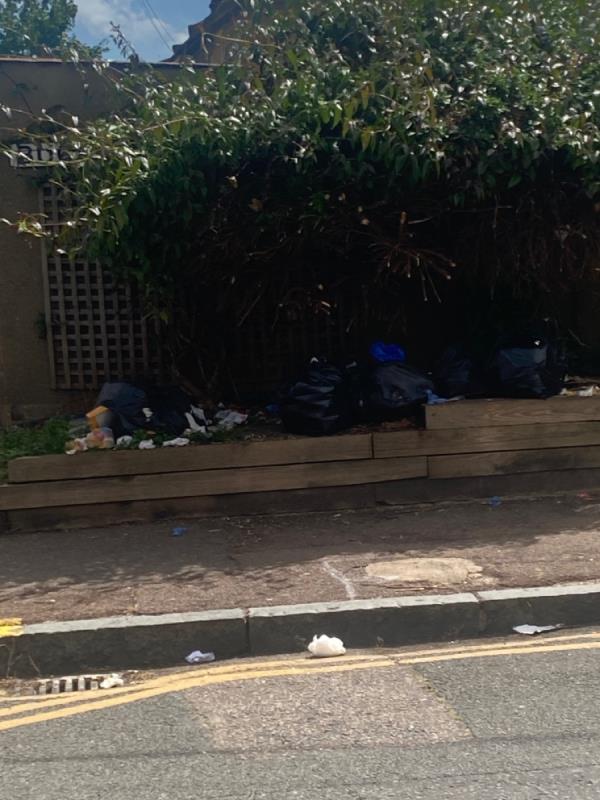 Numerous bags f rubbish dumped and ripped open-21a Buckingham Road, London, E15 1SW