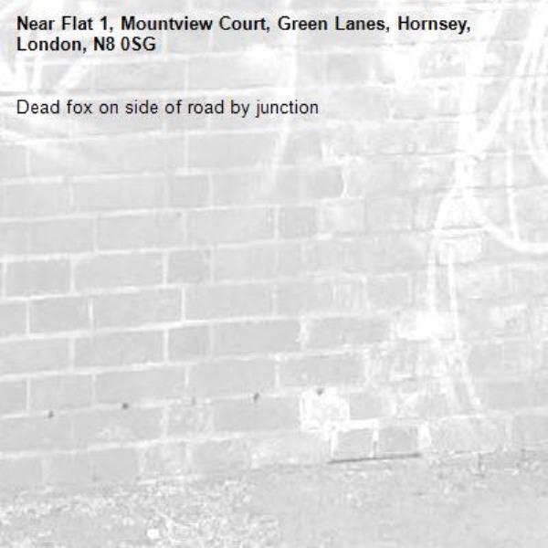 Dead fox on side of road by junction-Flat 1, Mountview Court, Green Lanes, Hornsey, London, N8 0SG